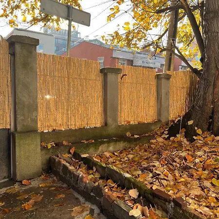 Under The Pine Apartamento Belgrado