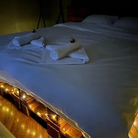 Under The Pine * Belgrado