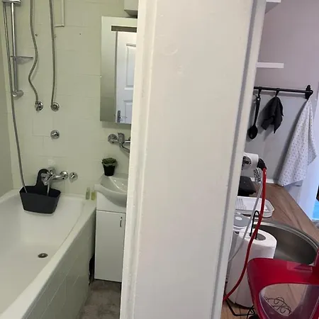 Apartment Under The Pine *