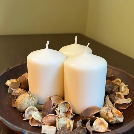 Under The Pine * Belgrado