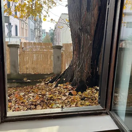 Under The Pine Apartment Belgrade