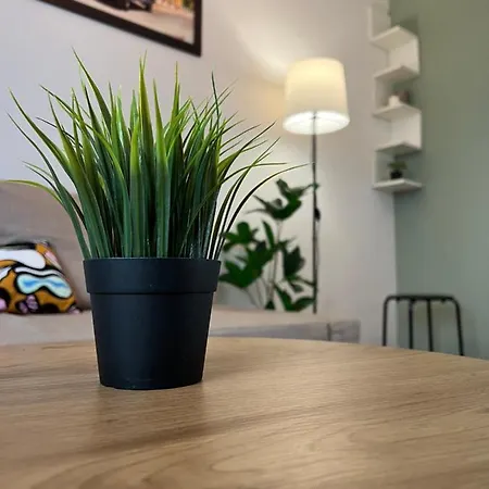 Under The Pine Белград