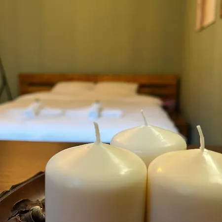 Under The Pine Апартаменты Белград