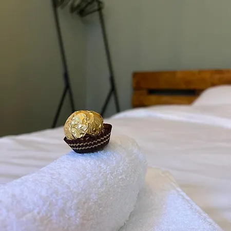 Under The Pine Belgrado