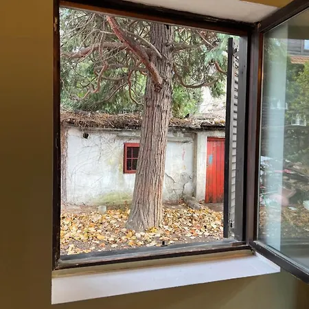 Apartment Under The Pine *